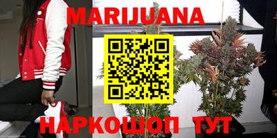 гидропоника Берёзовский