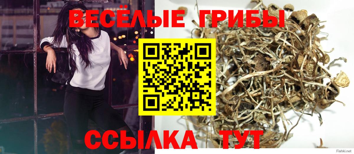 Галлюциногенные грибы MAGIC MUSHROOMS  Вход с VPN  Изобильный 