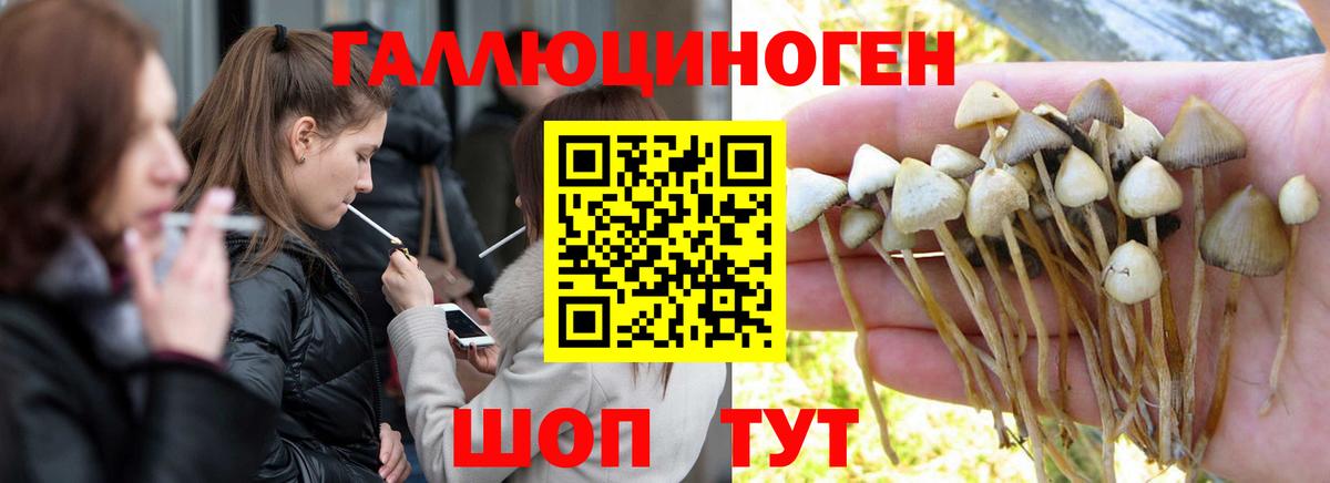 Галлюциногенные грибы прущие грибы Изобильный